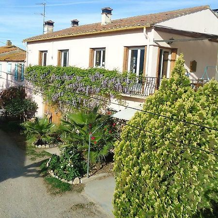 Gite Mas Des Ecureuils Palau-del-Vidre Buitenkant foto