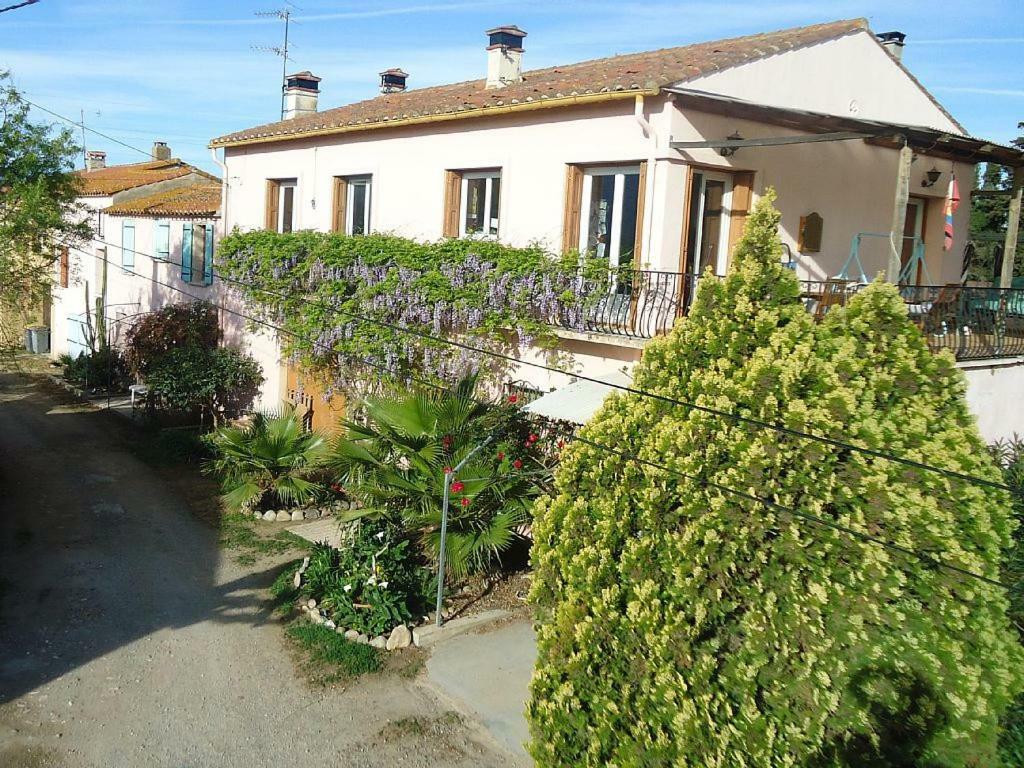 Gite Mas Des Ecureuils Palau-del-Vidre Buitenkant foto